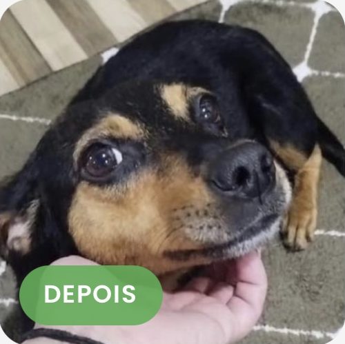 Luna depois